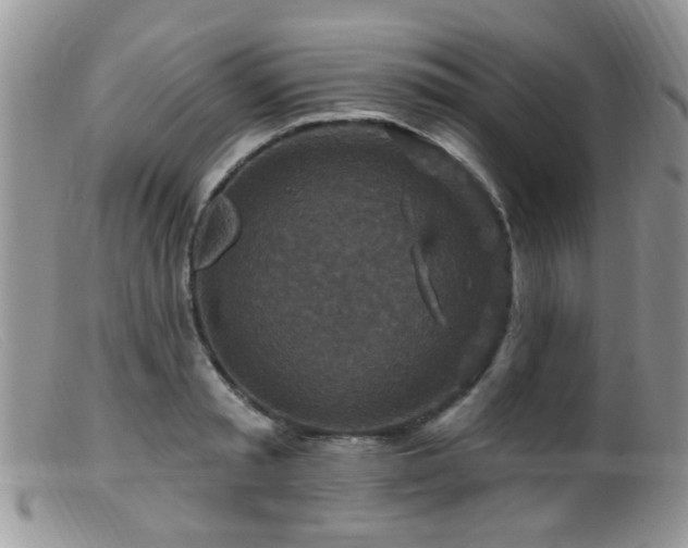 X0000099500797200805151429