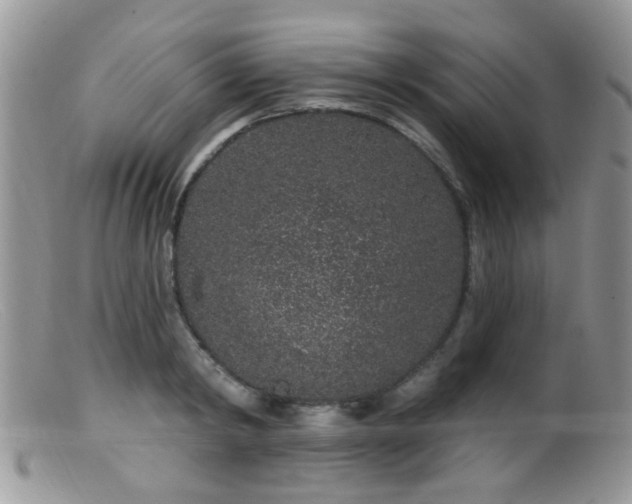 X0000099500798200805151429