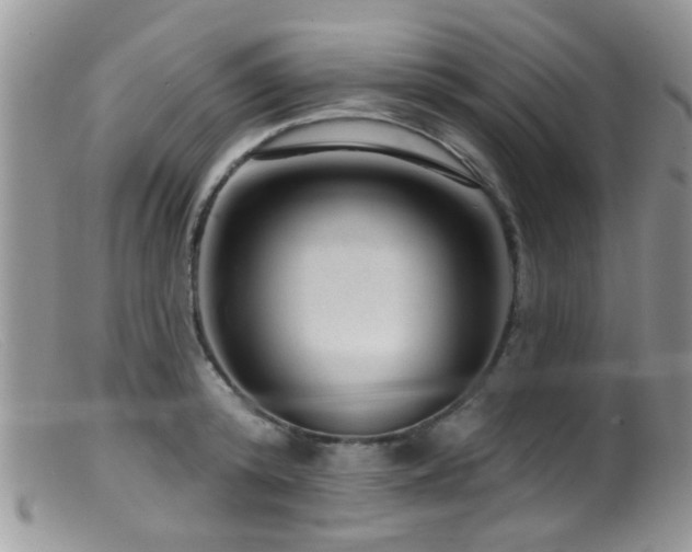 X0000099500800200805151429