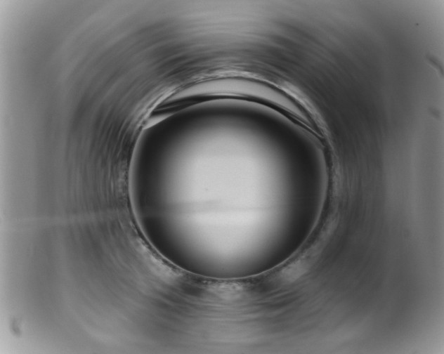 X0000099500801200805151429