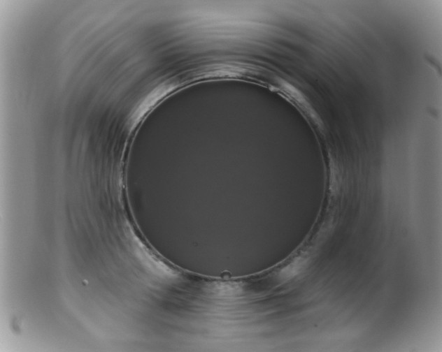X0000099500802200805151429
