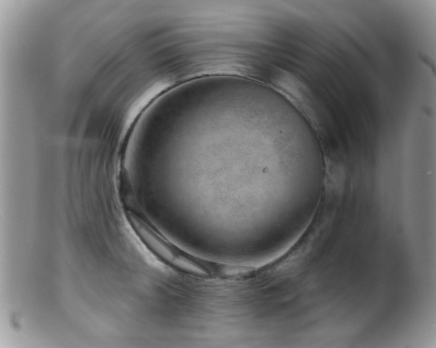 X0000099500804200805151429