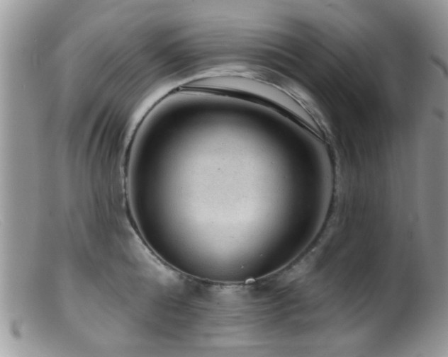 X0000099500808200805151429