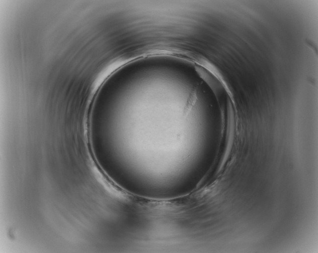 X0000099500811200805151429