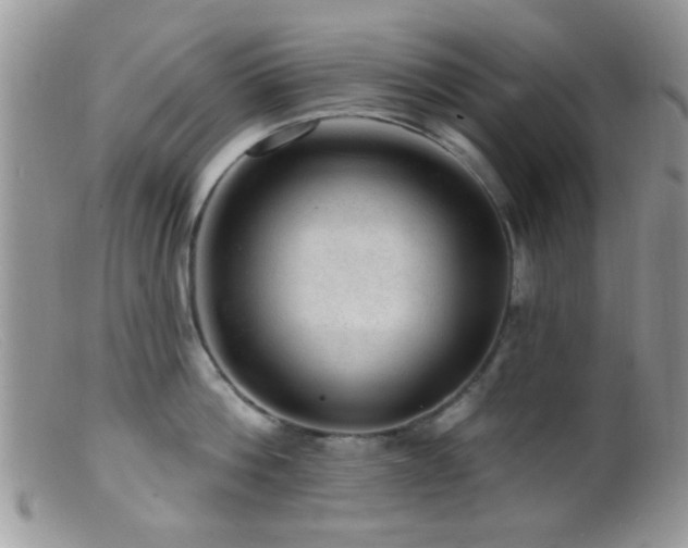 X0000099500812200805151429
