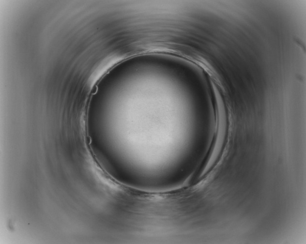 X0000099500814200805151429