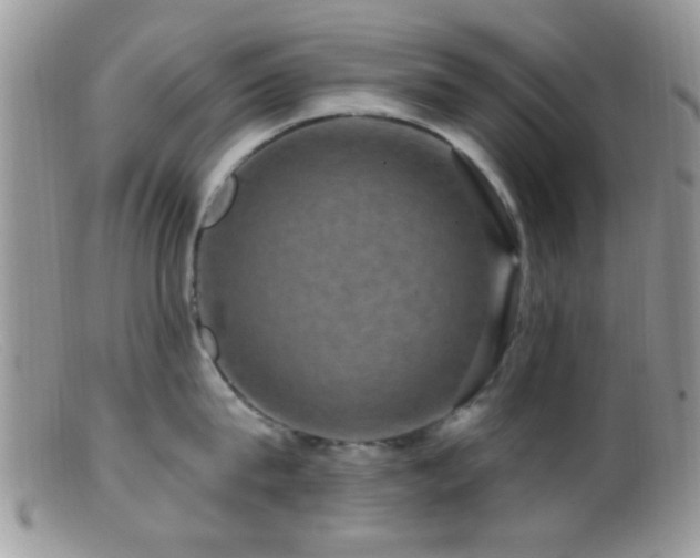 X0000099500815200805151429