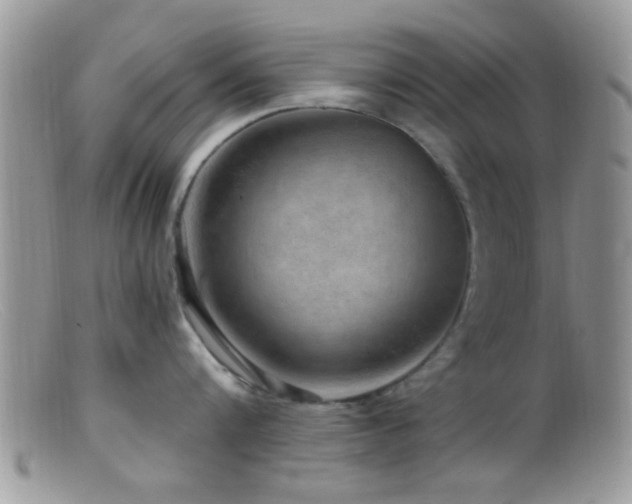 X0000099500816200805151429