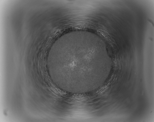 X0000099500817200805151428