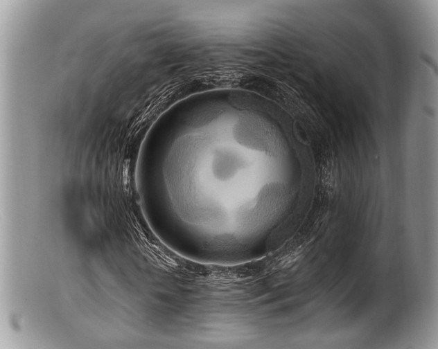 X0000099500818200805151428