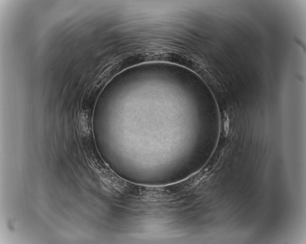 X0000099500819200805151428
