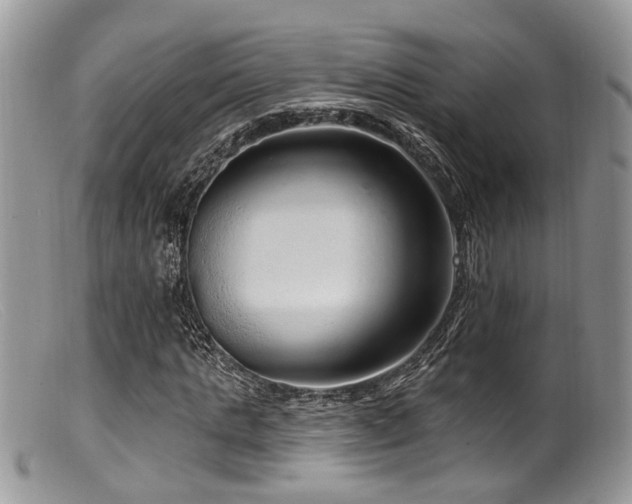 X0000099500821200805151428
