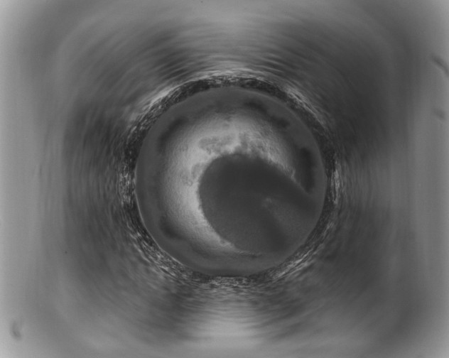 X0000099500822200805151428