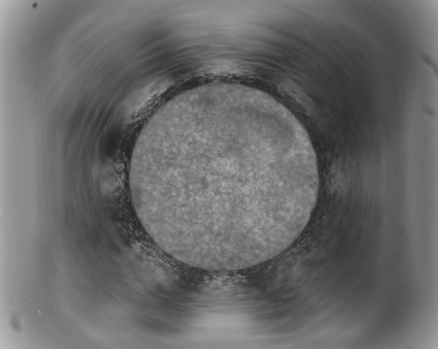X0000099500824200805151428