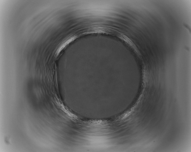 X0000099500826200805151429