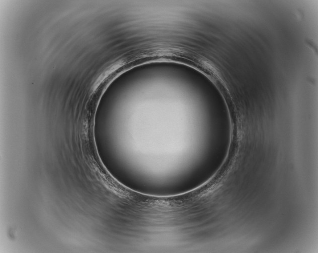 X0000099500827200805151429