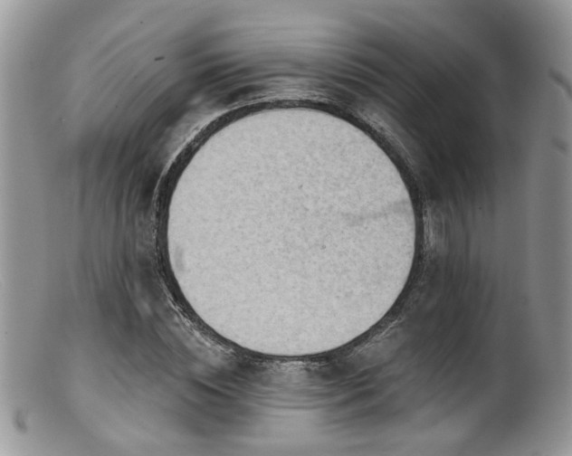 X0000099500828200805151429