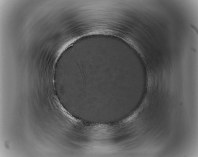 X0000099500830200805151429