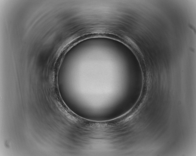 X0000099500831200805151429