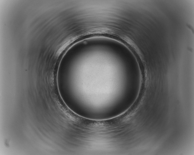 X0000099500834200805151429