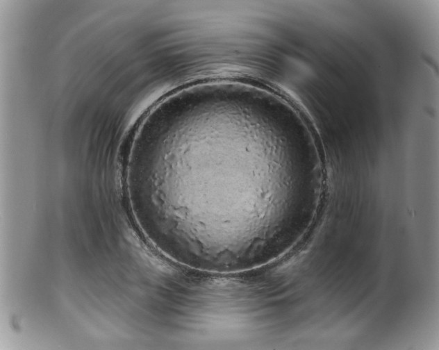 X0000099500835200805151429