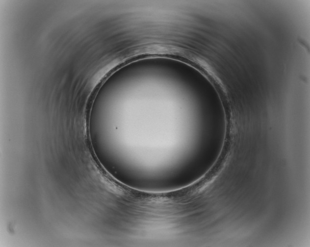 X0000099500837200805151429