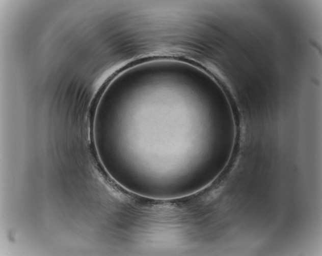 X0000099500838200805151429