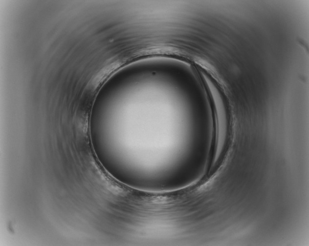 X0000099500841200805151429