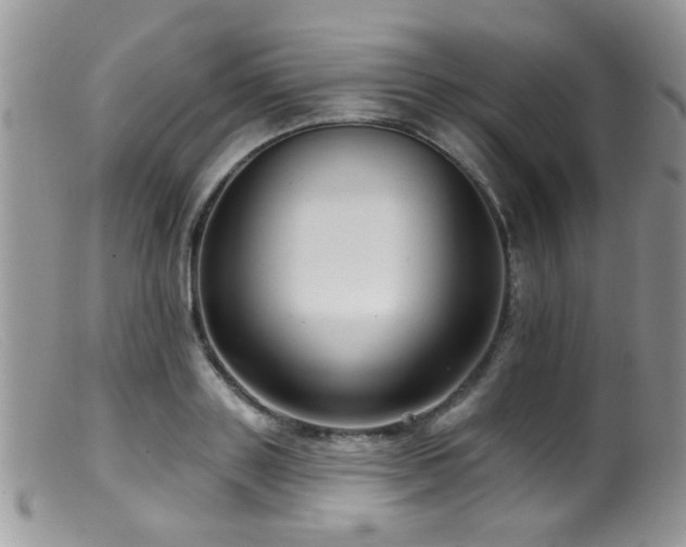 X0000099500843200805151429
