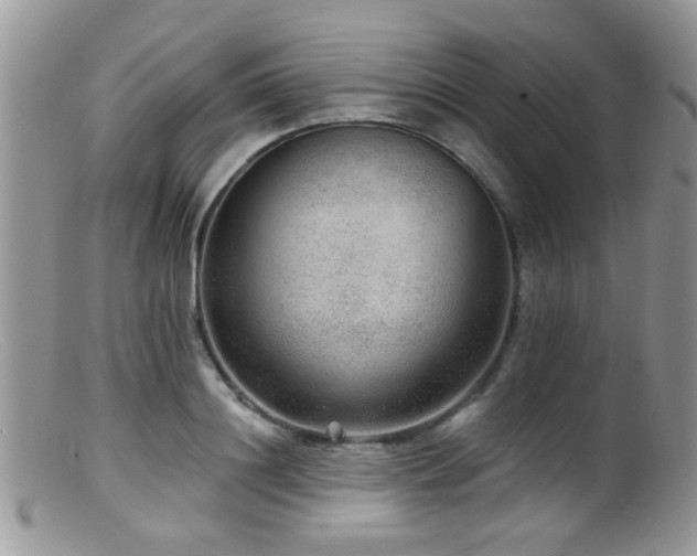 X0000099500844200805151429