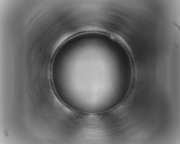 X0000099500847200805151429