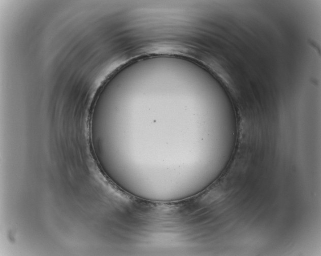 X0000099500848200805151429