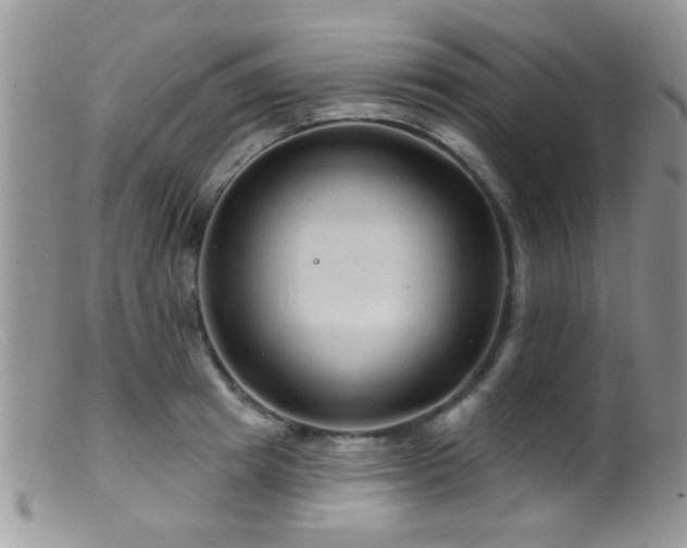 X0000099500849200805151429