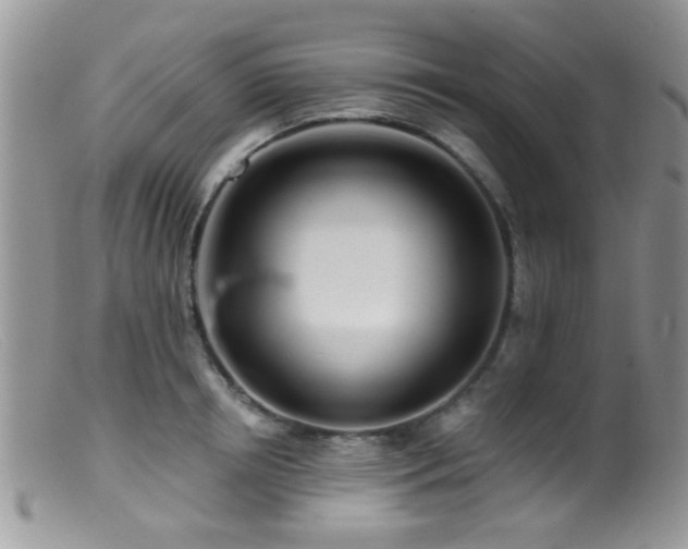 X0000099500850200805151429