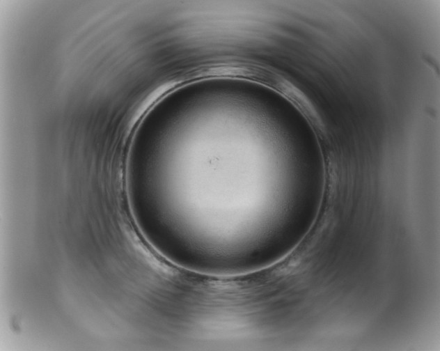 X0000099500852200805151429