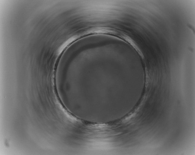 X0000099500853200805151429