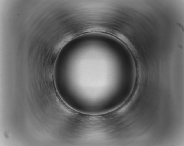 X0000099500857200805151429