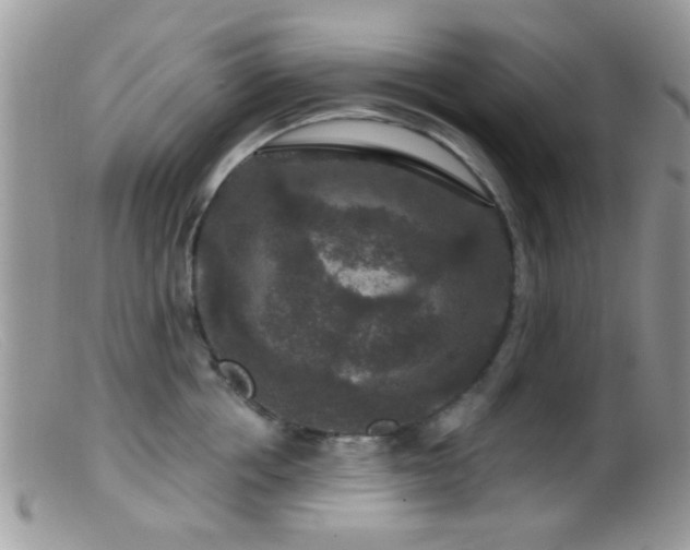 X0000099500858200805151429