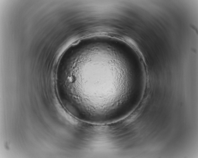 X0000099500859200805151429