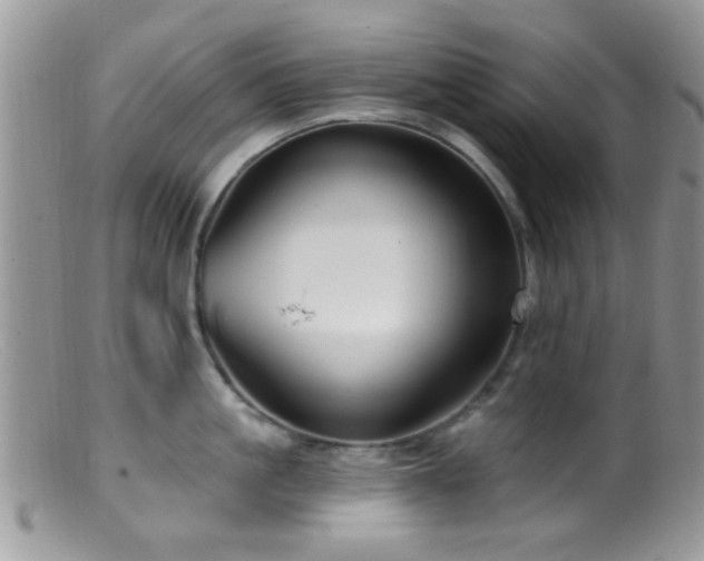 X0000099500861200805151429