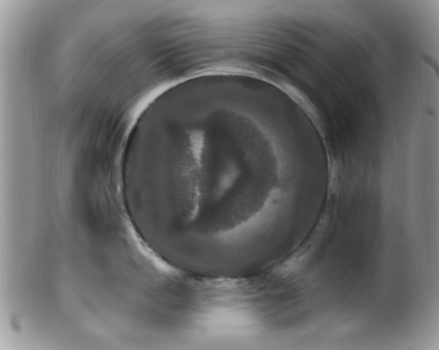 X0000099500862200805151429
