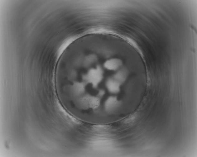 X0000099500863200805151429