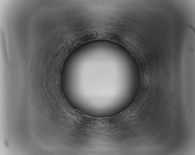 X0000099500865200805151428