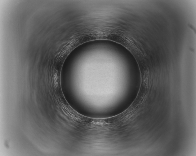 X0000099500866200805151428
