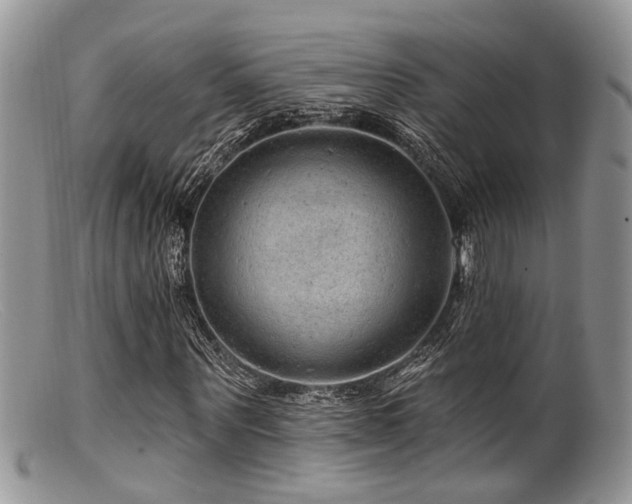X0000099500867200805151428