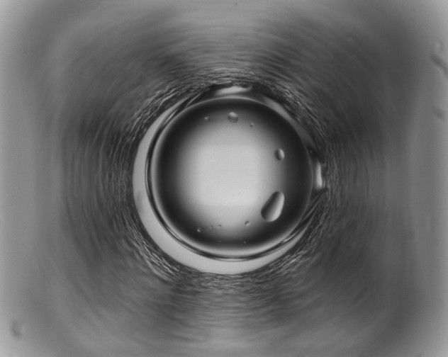 X0000099500868200805151428