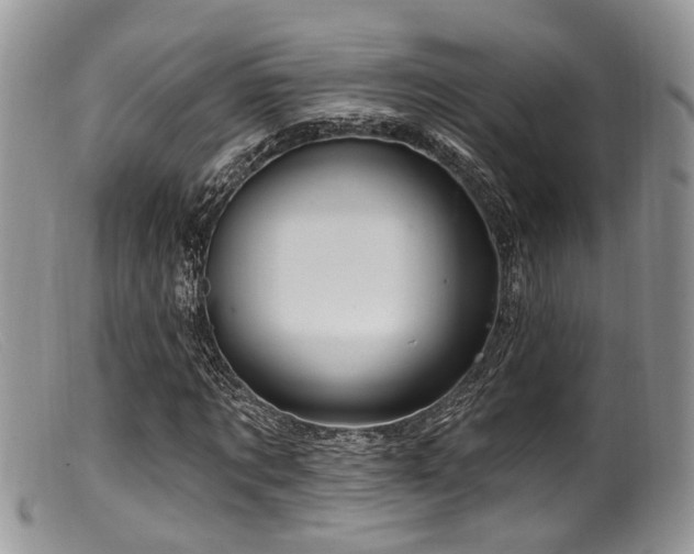 X0000099500869200805151428