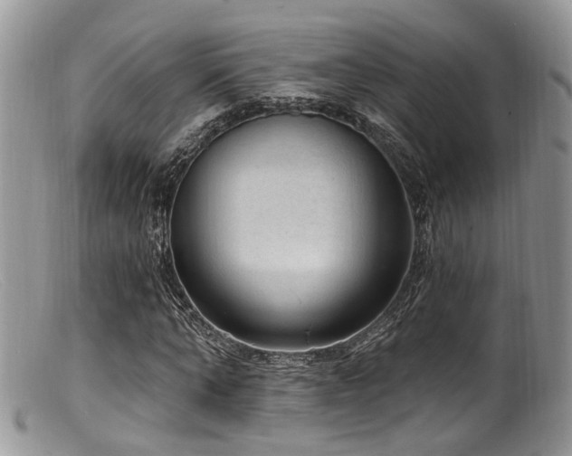 X0000099500870200805151428