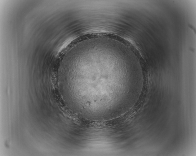 X0000099500871200805151428