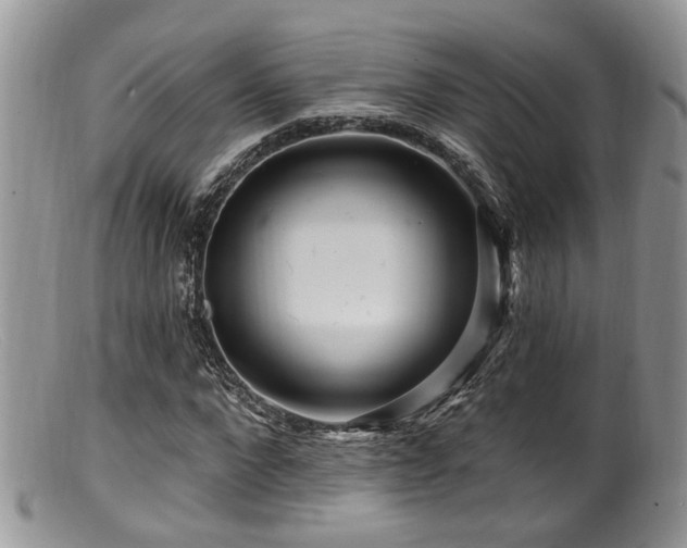 X0000099500872200805151428